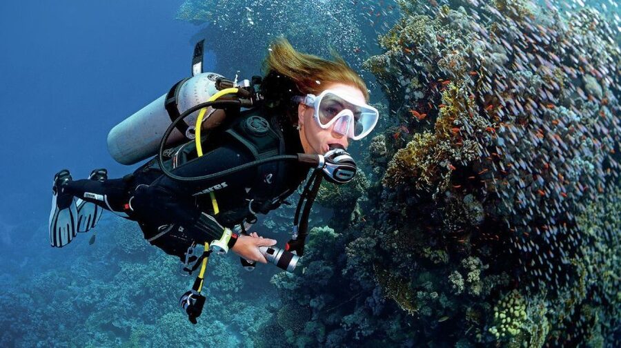 From Sharm: Ras Muhammed & White Island By Boat & intro Dive - The included scuba session for beginners