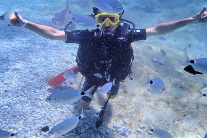 From Side, Alanya: Scuba Diving With 2 Time Dive & Lunch - Snorkeling for people staying at the surface