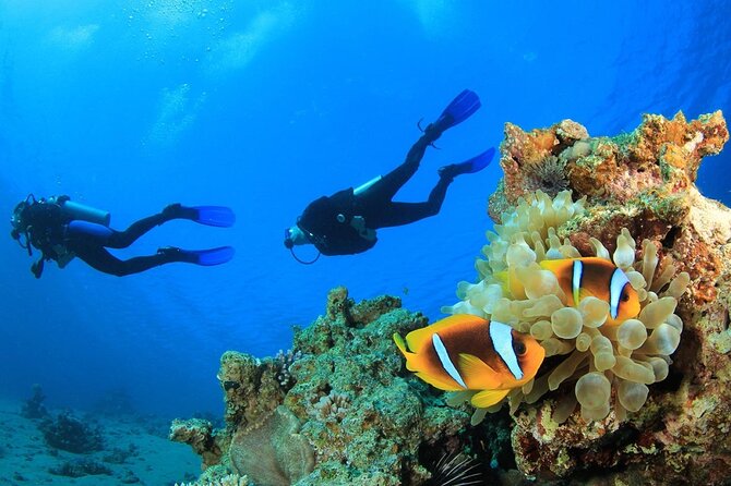 From Side, Alanya: Scuba Diving With 2 Time Dive & Lunch - The second 20-minute session at 7 to 8 meters