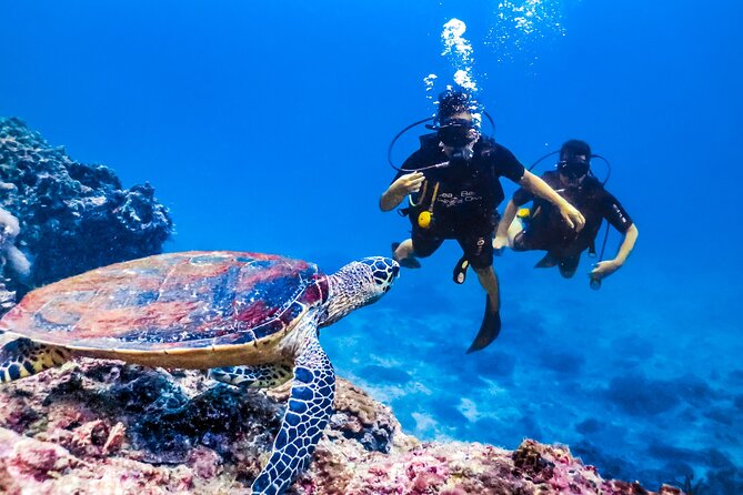 From Side, Alanya: Scuba Diving With 2 Time Dive & Lunch - What the $45.38 price includes