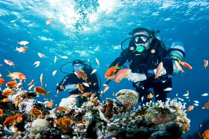 From Side, Alanya: Scuba Diving With 2 Time Dive & Lunch - Sailing from the marina to the first site