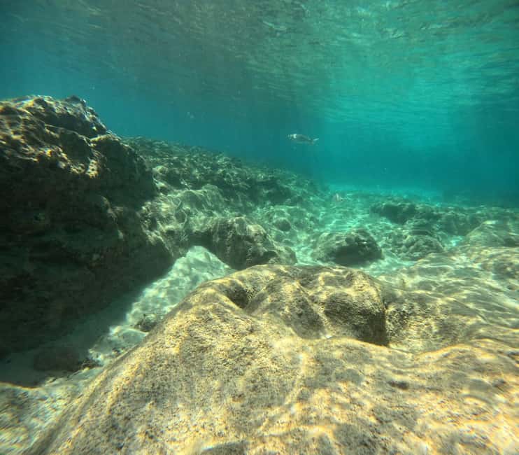 Fuerteventura: First Scuba Experience – Calm 1:1 Dive - What the Morro Jable shore entry feels like