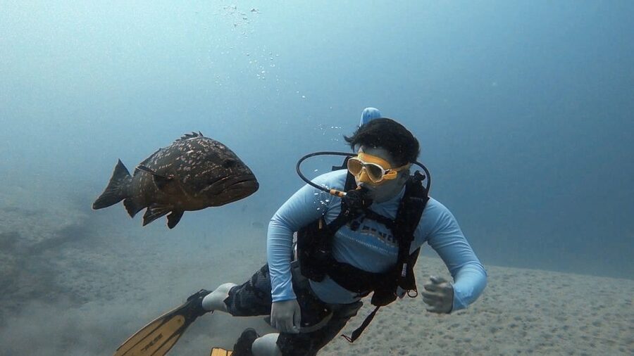 Fuerteventura: Introduction to Scuba Diving - Key points before you book