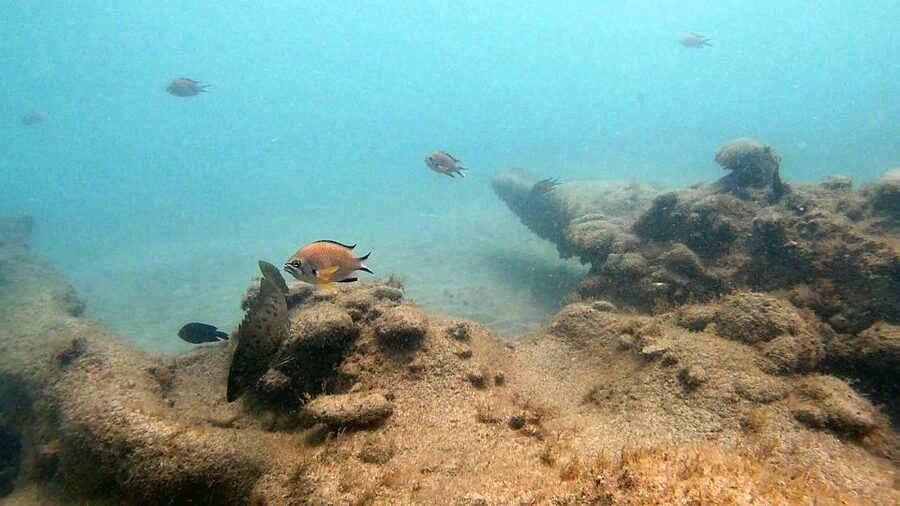 Fuerteventura: Introduction to Scuba Diving - The underwater session near volcanic rock