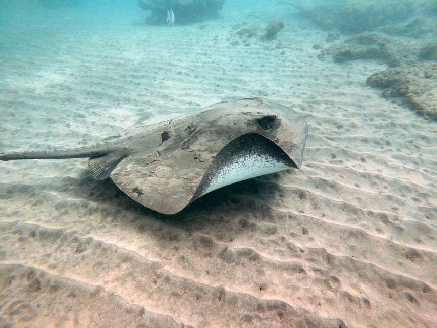Fuerteventura: Introduction to Scuba Diving - Photos and video cost extra
