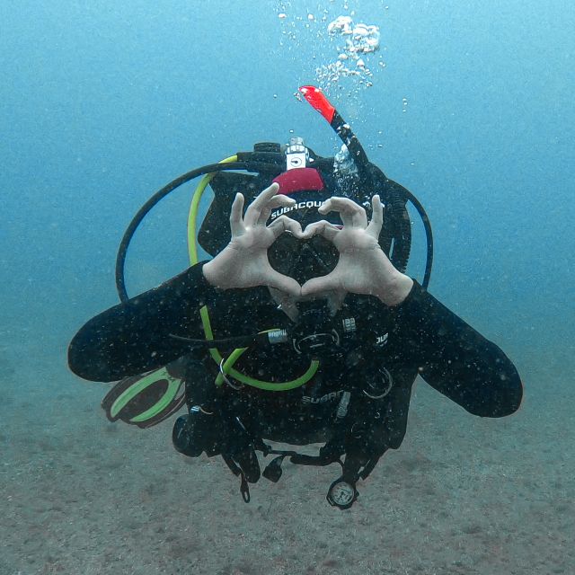 Fuerteventura: Introductory Dive in La Lajita with Pickup - What Makes This La Lajita Experience Worth Considering