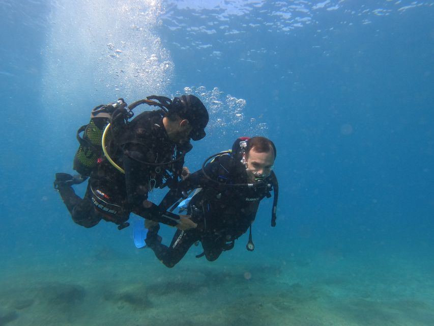 Fuerteventura: Introductory Dive in La Lajita with Pickup - Who Should Book This Activity?
