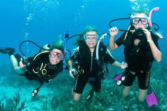 Fujairah: PADI Basic Scuba Diver Course - Key points at a glance