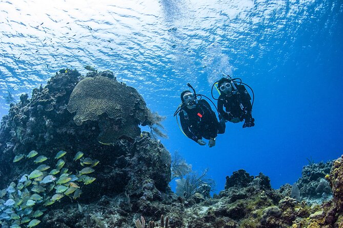 Fujairah: PADI Open Water Diver Course - Key points at a glance