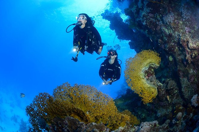 Full-Day Beginner Scuba Course with Private Tuition, Racha Yai - The early start at Chalong Pier
