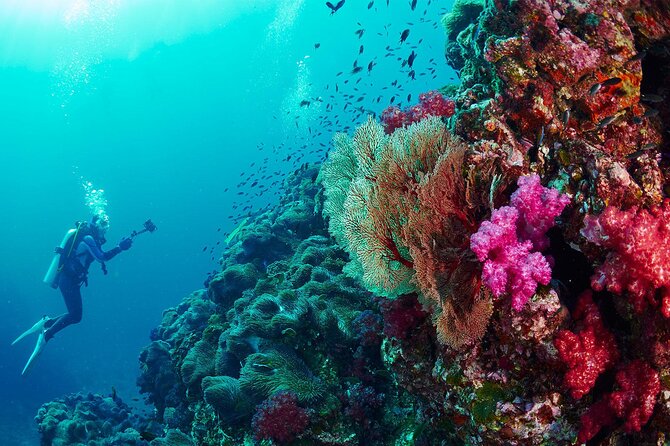 Full-Day Beginner Scuba Course with Private Tuition, Racha Yai - Photos and the camera restriction