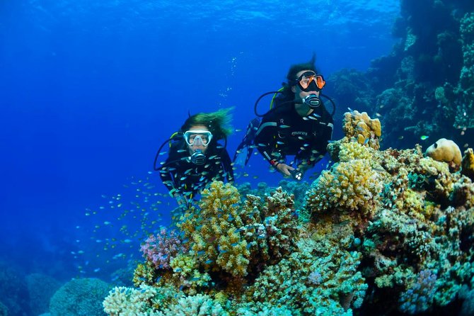 Full-Day Beginner Scuba Course with Private Tuition, Racha Yai - How good is the value at $162.73?