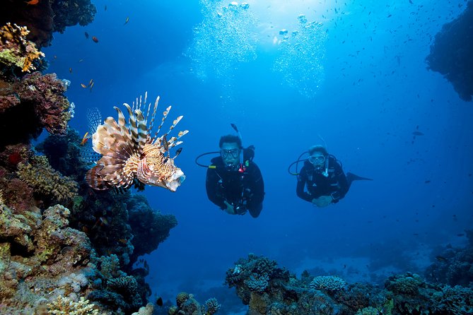 Full-Day Beginner Scuba Course with Private Tuition, Racha Yai - Who should book this Racha Yai outing?