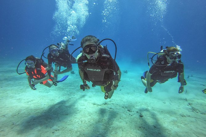 Full-Day Catalina Island Scuba Diving Tour from La Romana - Key things to know before booking