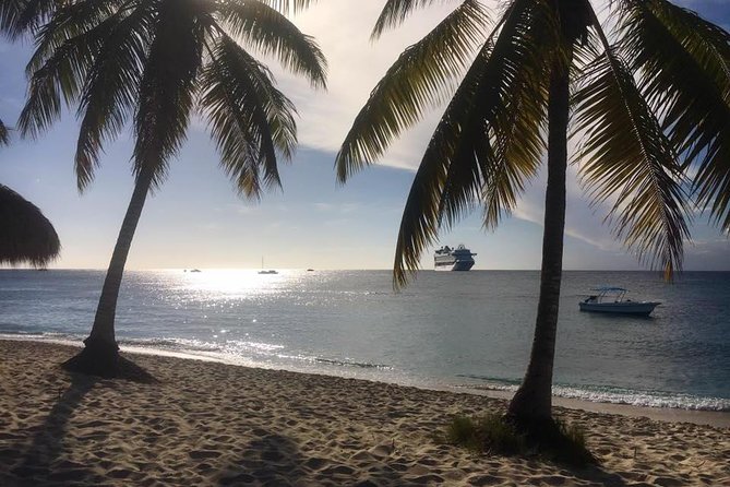 Full-Day Catalina Island Scuba Diving Tour from La Romana - Price, group size, and the real value