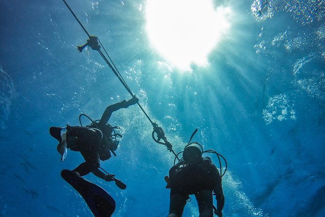 Full-Day Catalina Island Scuba Diving Tour from La Romana - Who should book this Catalina outing