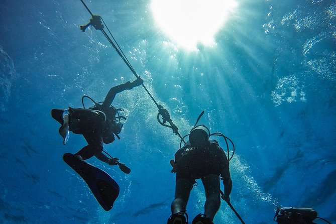 Full-Day Catalina Island Scuba Diving Tour from Punta Cana - Leaving Punta Cana for Catalina Island