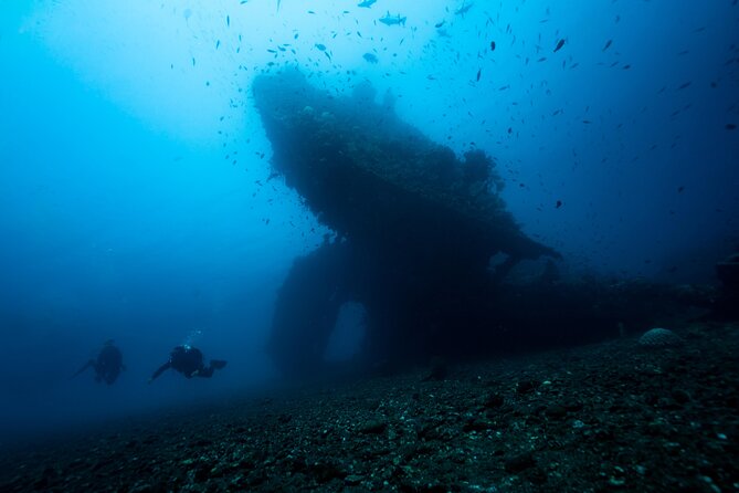 Full-Day Discover Scuba Diving Tour for Beginners in Tulamben - Step Two: Coral Garden and Your First Underwater Look