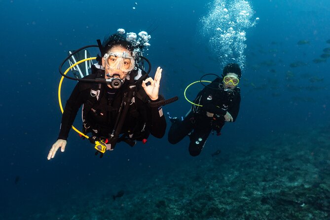 Full-Day Discover Scuba Diving Tour for Beginners in Tulamben - The Early Morning Pickup From Kuta, Ubud, and South Bali