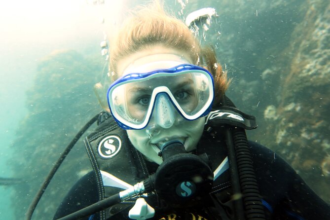 Full Day Diving Activity in Thailand with Lunch - The second site and the return to Koh Samui