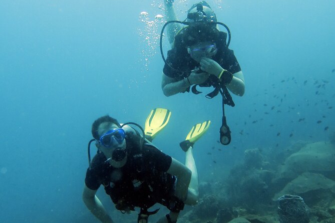 Full Day Diving Activity in Thailand with Lunch - What the small group changes