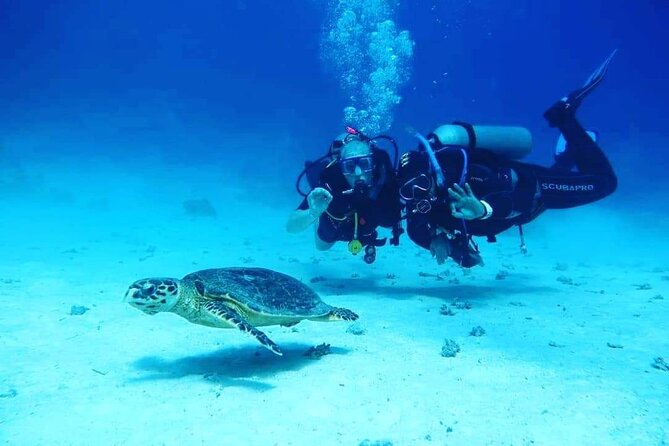 Full Day Diving for Beginners with Lunch in Hurghada - What the day looks like from the 8:00 am start