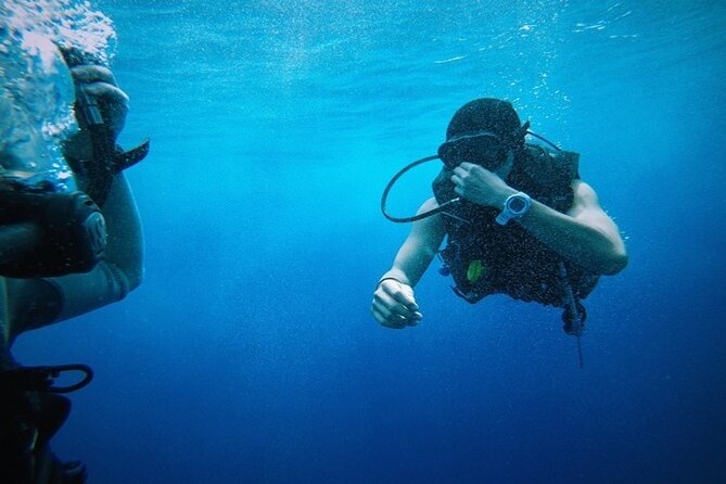 Full Day Diving for Beginners with Lunch in Hurghada - Shallow reefs, coral, and marine life