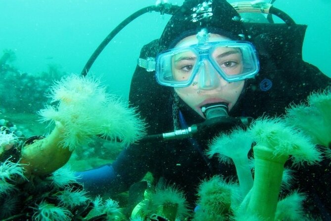 Full Day Diving for Beginners with Lunch in Hurghada - Lunch on the boat breaks up the day