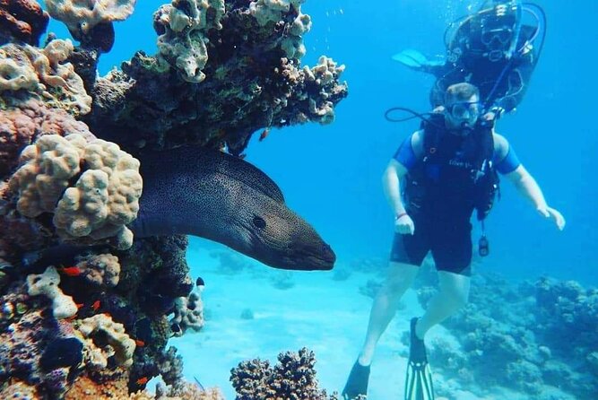 Full Day Diving for Beginners with Lunch in Hurghada - Learning the basics before going underwater