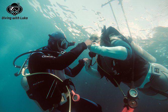 Full day diving with private guide, lunch drinks transportation - Key points to know before booking
