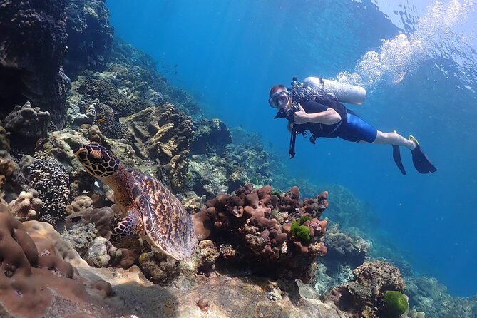 Full-Day Koh Phi Phi Scuba Diving Course from Phuket - Two Bays Around Koh Phi Phi