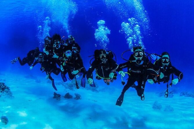 Full Day on Boat with 2 Dives in the Marine Parks of Sharm - The first underwater session