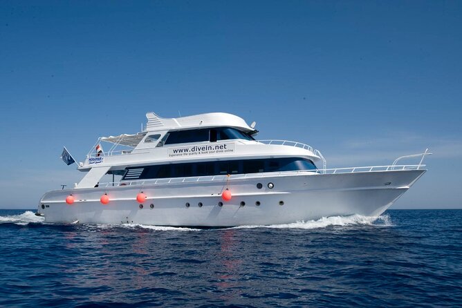 Full Day on Boat with 2 Dives in the Marine Parks of Sharm - Meeting at the Golden View Beach Resort