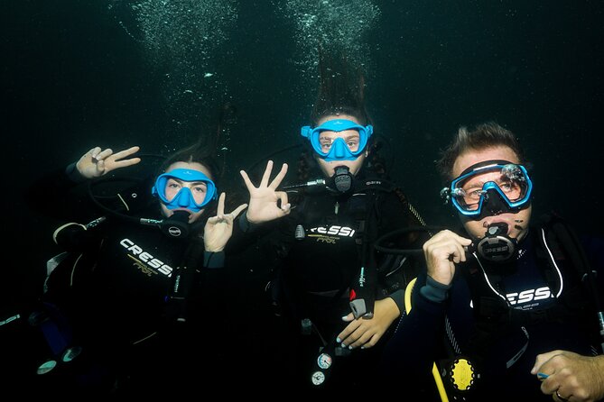 Full Day Private Scuba Diving in Espiritu Santo Island - Is $1,161.64 good value?