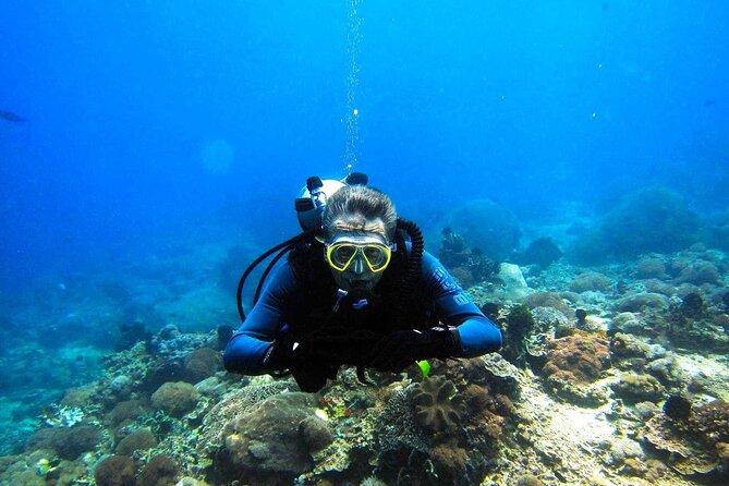 Full day Scuba diving and Snorkeling boat trip from Hurghada - What the scuba sessions are like for beginners