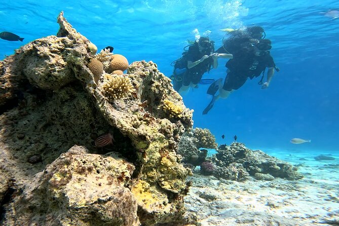 Full Day Scuba Diving Boat Trip for Professional Divers_Hurghada - Key points at a glance