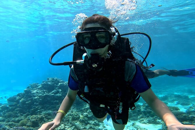 Full Day Scuba Diving Boat Trip for Professional Divers_Hurghada - A second site for more variety
