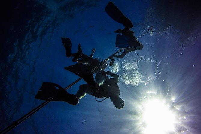 Full-Day Scuba Diving Catalina Island Tour from Bavaro - The beach stop on Catalina’s west side