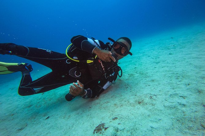 Full-Day Scuba Diving Catalina Island Tour from Bavaro - Who should book this Catalina outing?