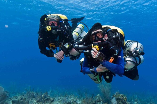 Full-day Scuba Diving Experience for Beginners & Lunch - Sharm El Sheikh - Quick points before you book