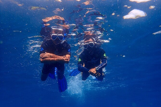 Full-Day Scuba Diving Experience of USAT Liberty in Tulamben - Who Should Book This Experience