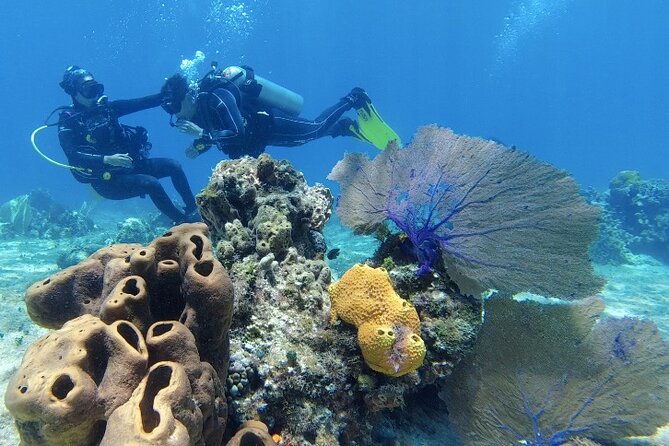 Fun Dive Machine in Playa del Carmen or Cozumel-For Certificates - The guides are a major part of the experience