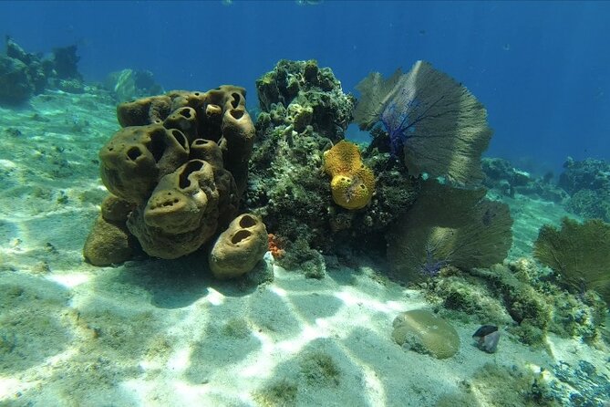 Fun Dive Machine in Playa del Carmen or Cozumel-For Certificates - Timing, weather, and the flight rule