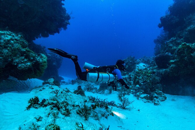 Fun Dive Machine in Playa del Carmen or Cozumel-For Certificates - Who will enjoy this most