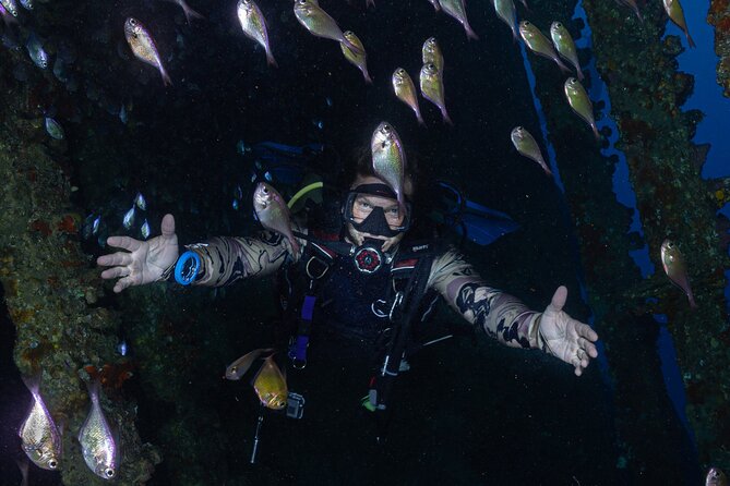 Fun Dive With Scuba Point in Los Cristianos - Meeting Scuba Point at Puerto Colón