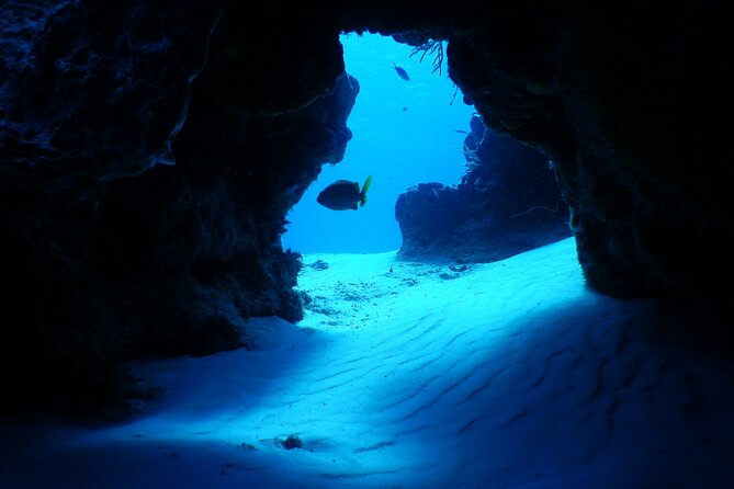 Fun dives Cozumel south marine park - Why Cozumel’s South Marine Park is special