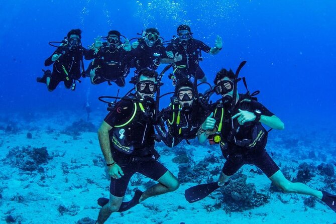 Fun dives Cozumel south marine park - Guides, safety, and the feel of the operation