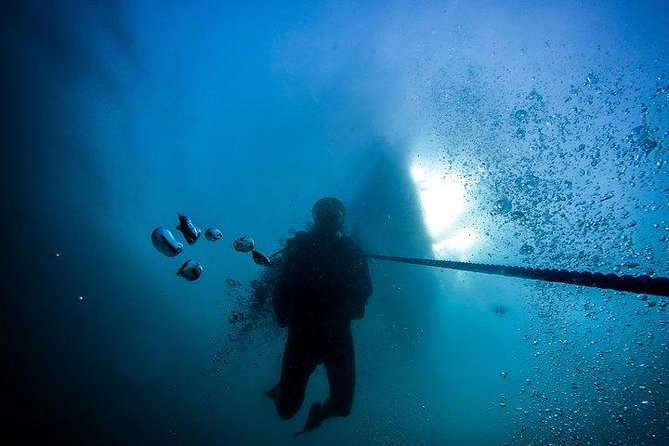 Fun Dives For Certified Divers - Registration, refreshments, and the restaurant