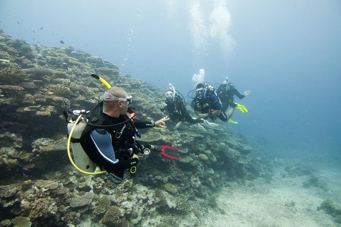 Fun Dives For Certified Divers - What The Small Boats Add