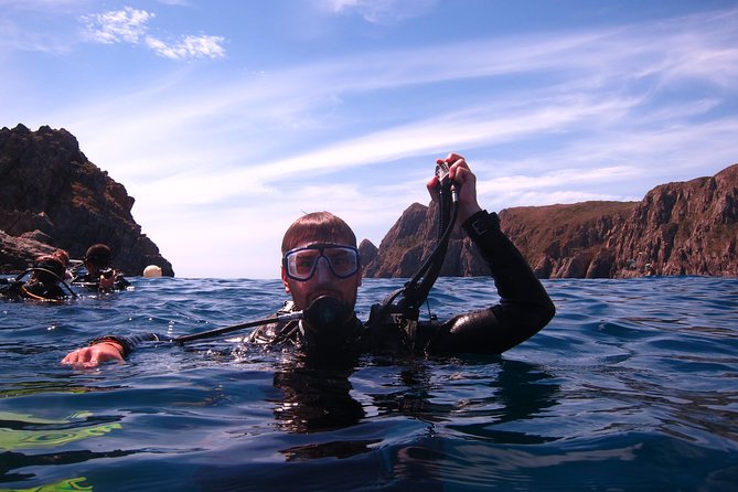 Fun Dives - Guided Dives for Certified Divers - The First Session: Coral and Tropical Fish